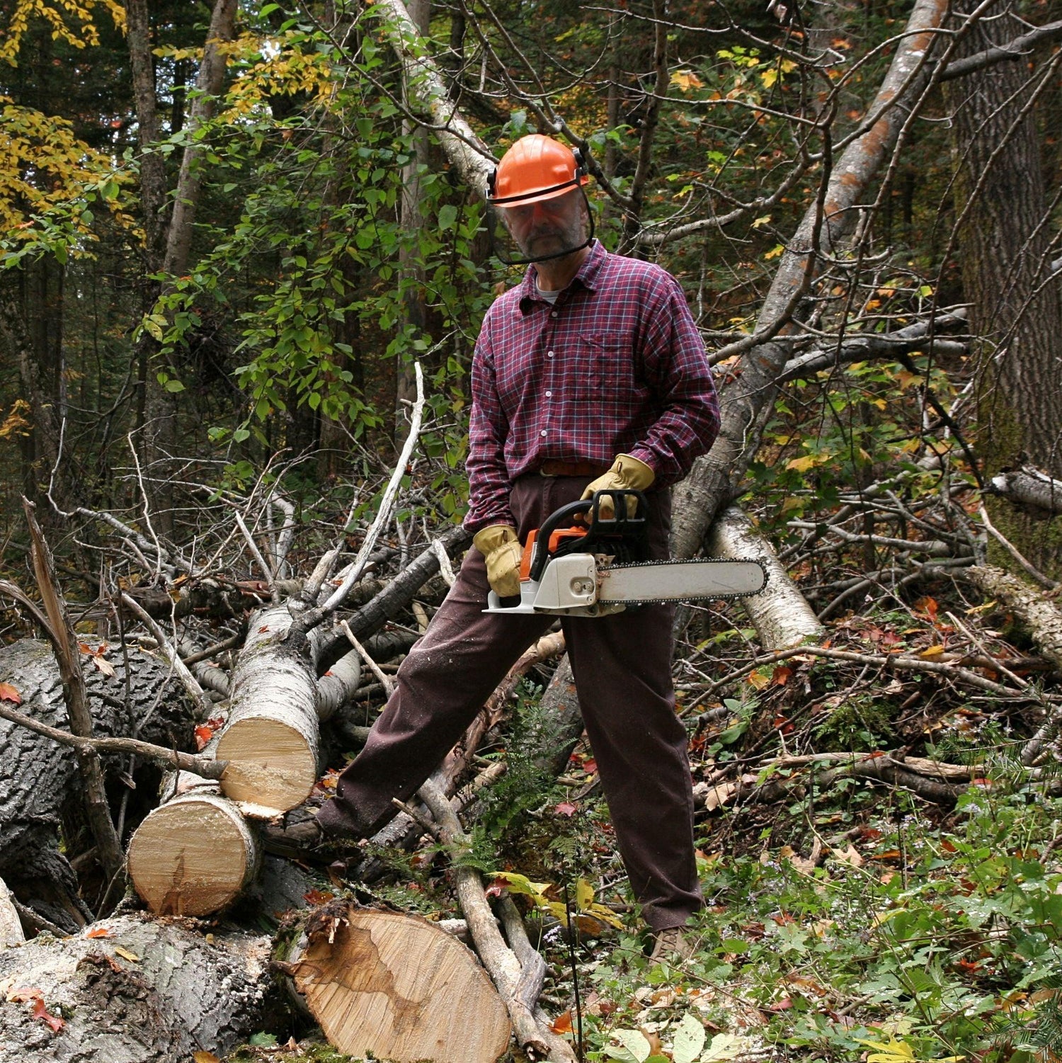 Logger Gifts