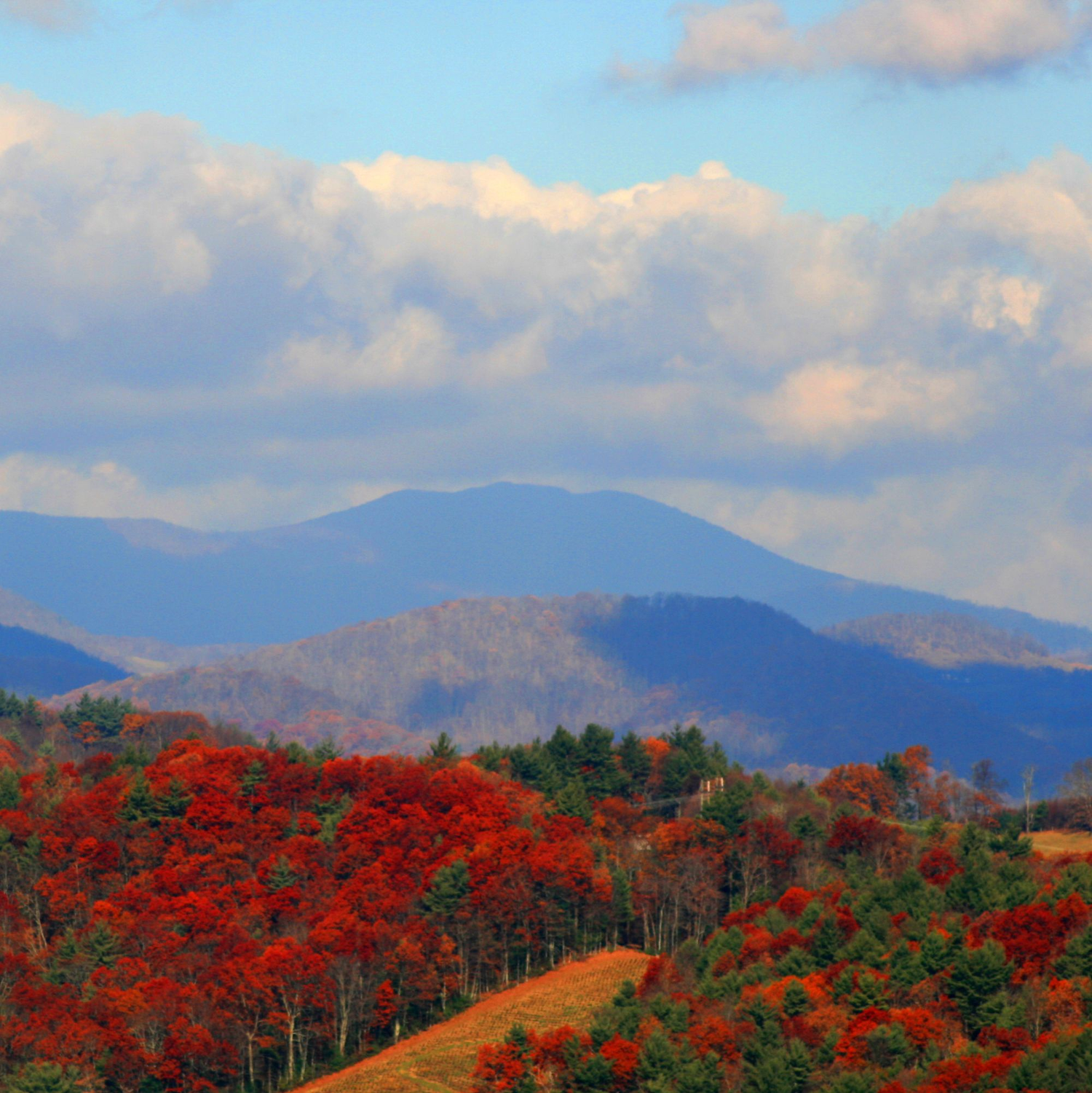 North Carolina State Gifts