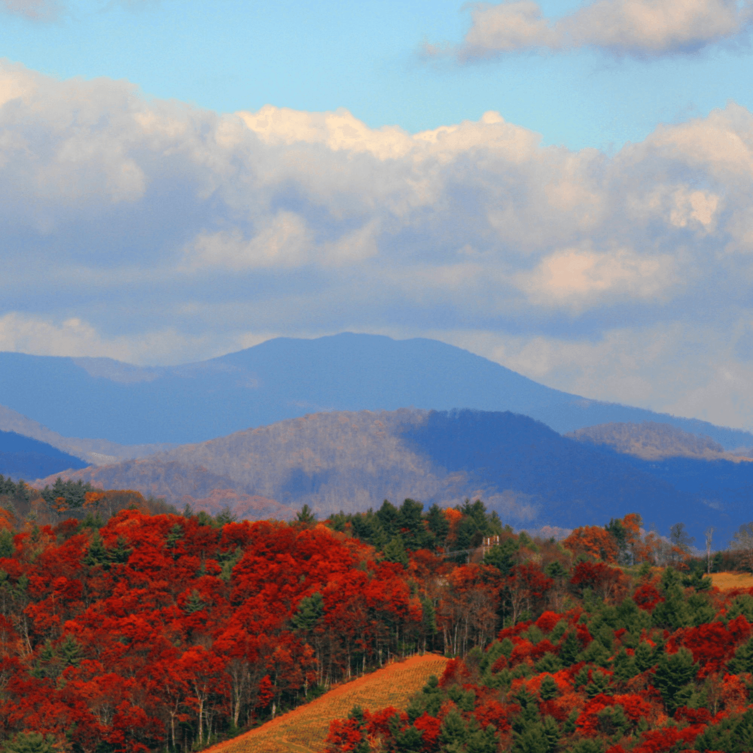 North Carolina State Gifts