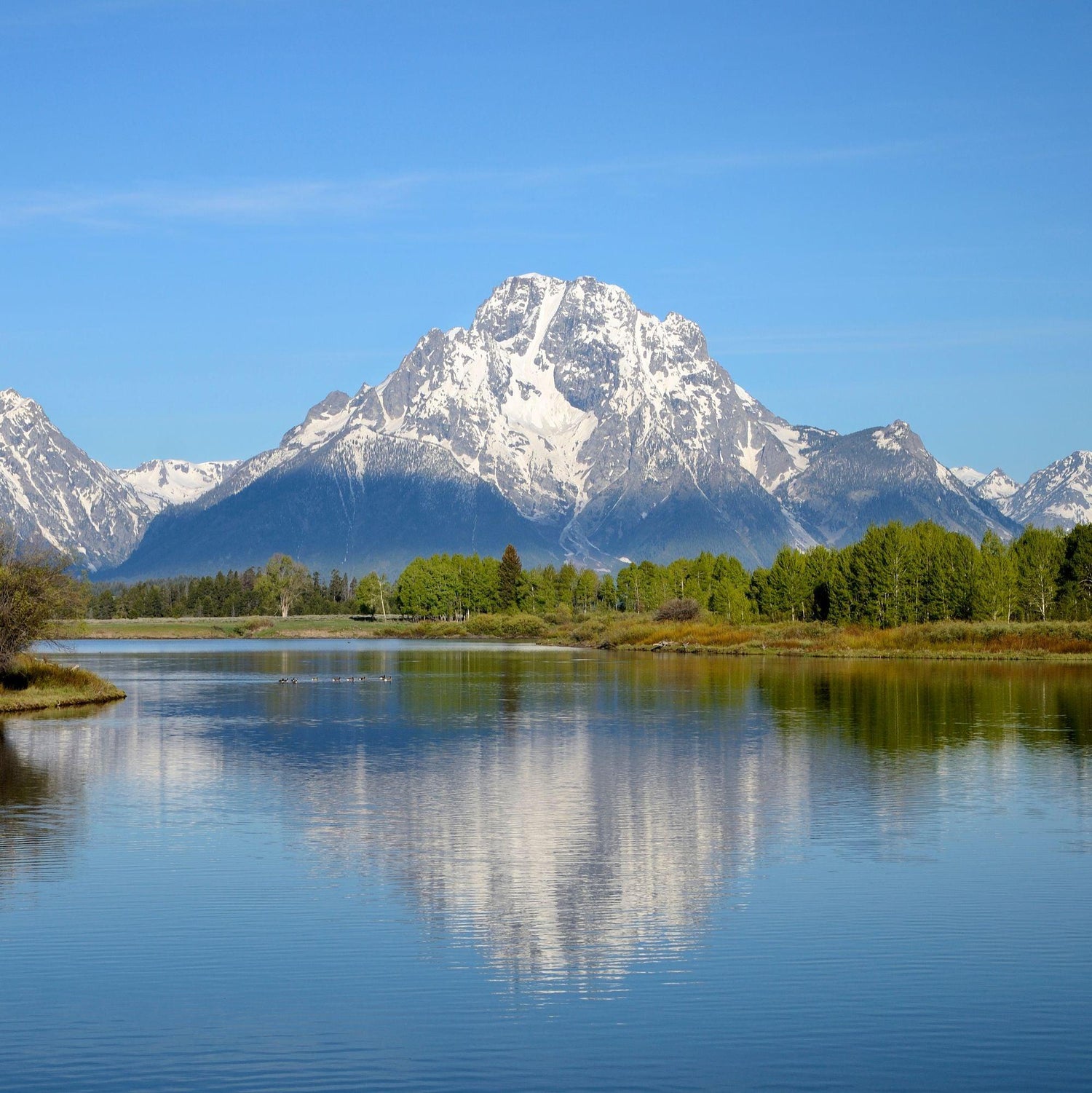 Wyoming State Gifts