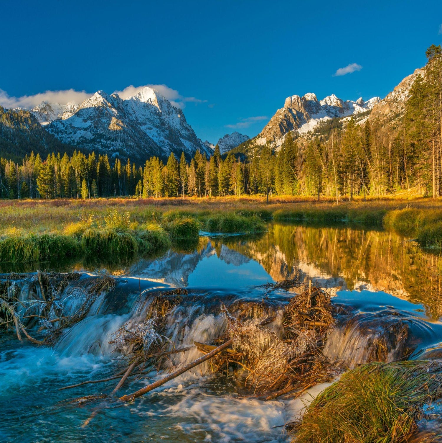 Idaho State Gifts