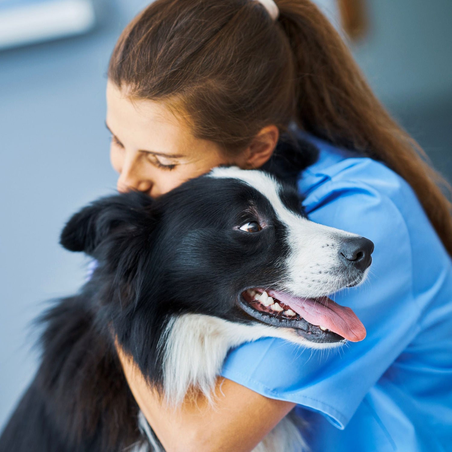 Veterinary Assistant Gifts