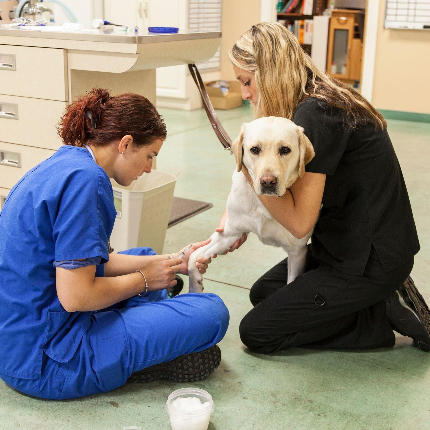 Veterinary Technician Gifts