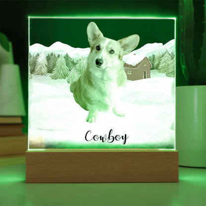 Pet Personalized Holiday Photo Upload Acrylic Plaque with Lighted LED Wooden Base