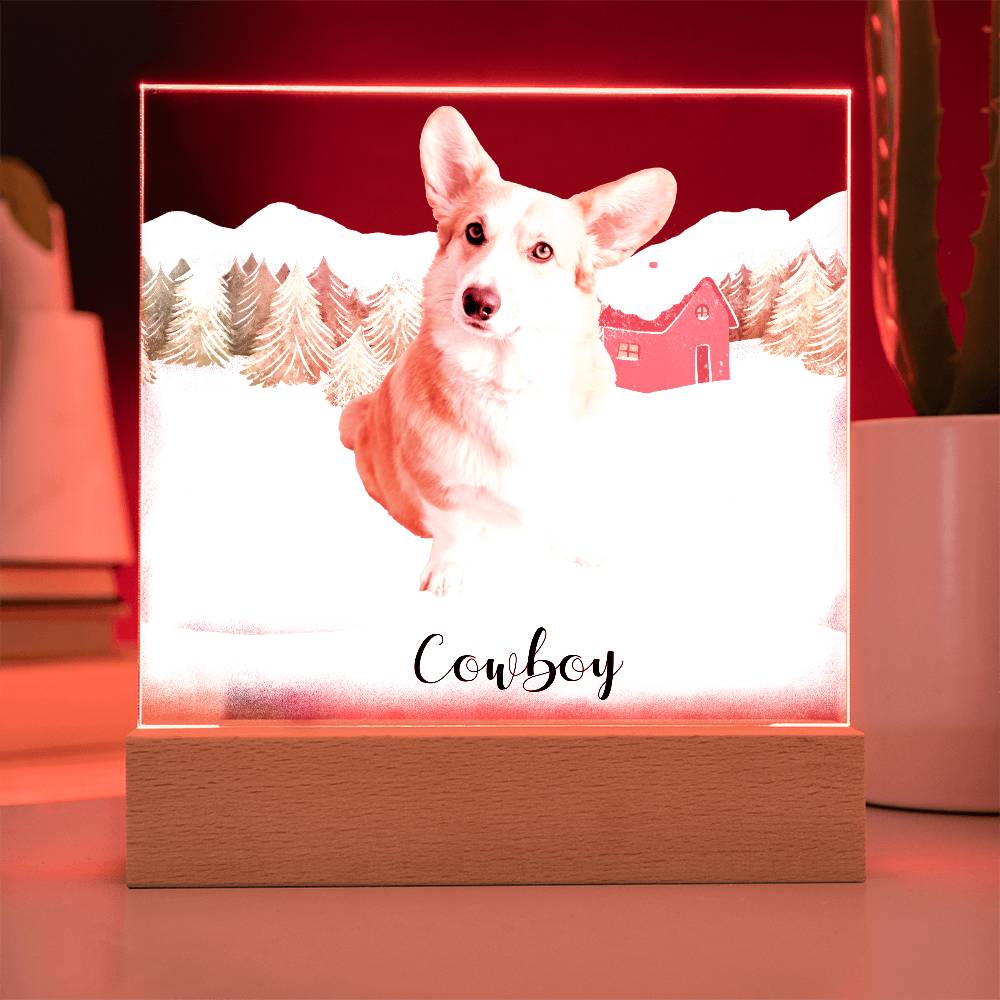 Pet Personalized Holiday Photo Upload Acrylic Plaque with Lighted LED Wooden Base