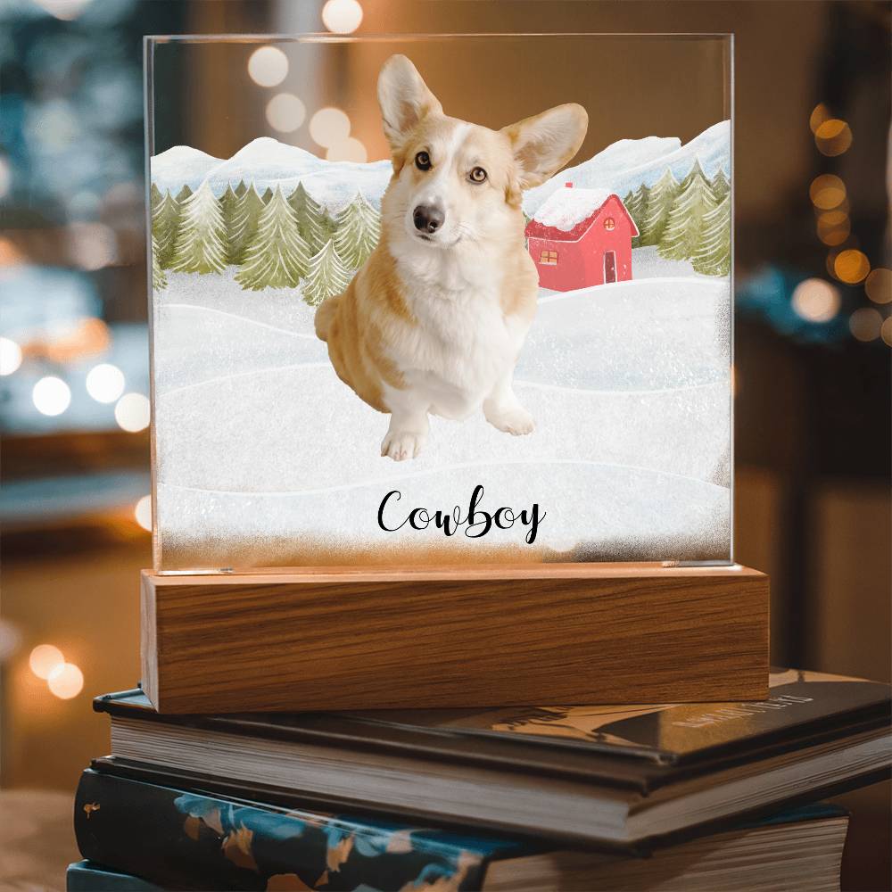 Pet Personalized Holiday Photo Upload Acrylic Plaque with Lighted LED Wooden Base