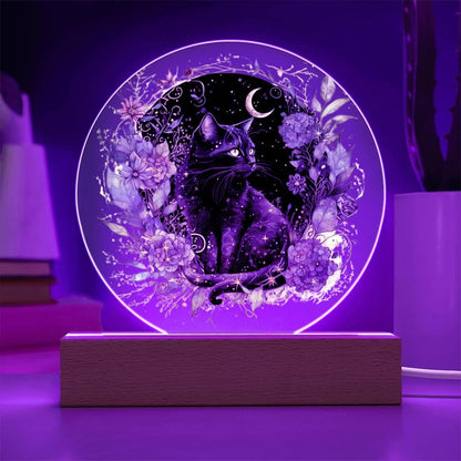 Black Cat Bewitchment: Acrylic Plaque - Mallard Moon Gift Shop