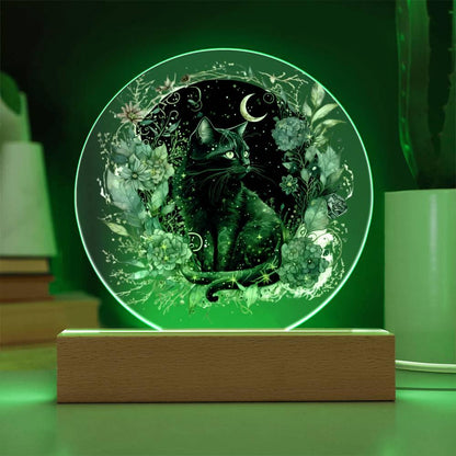 Black Cat Bewitchment: Acrylic Plaque - Mallard Moon Gift Shop