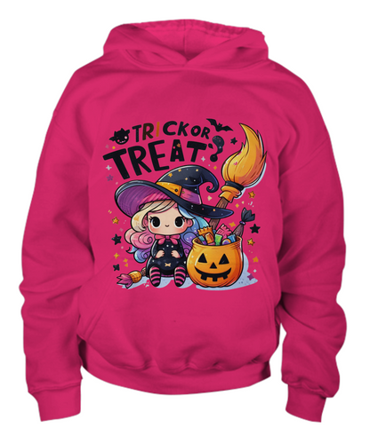 Halloween Trick or Treat Little Witch Youth Pullover Hoodie