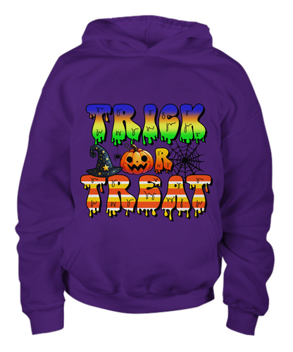 Trick or Treat Halloween Witches Hat and Pumpkin Youth Pullover Hoodie