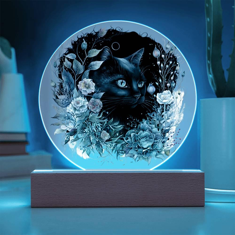 Moonlit Mystery: Black Cat Acrylic Showcase - Mallard Moon Gift Shop
