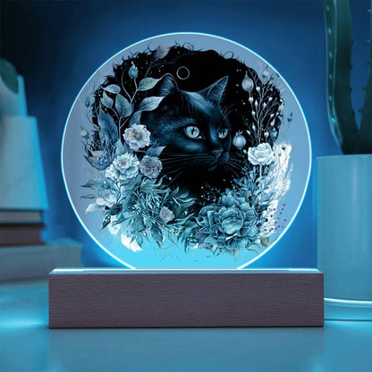Moonlit Mystery: Black Cat Acrylic Showcase - Mallard Moon Gift Shop