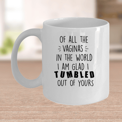 Rudely Funny Personalized Mother's Day Gift from Daughter or Son of All the Vaginas - Mallard Moon Gift Shop