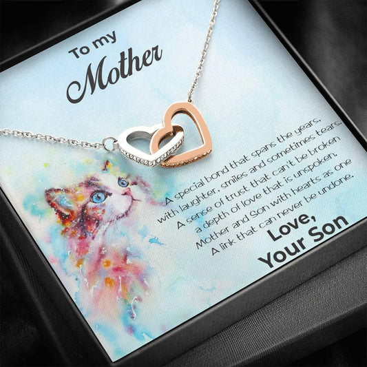 Gift for Mother from Son Gold and Silver Hearts Pendant Necklace in Message Card Gift Box - Mallard Moon Gift Shop
